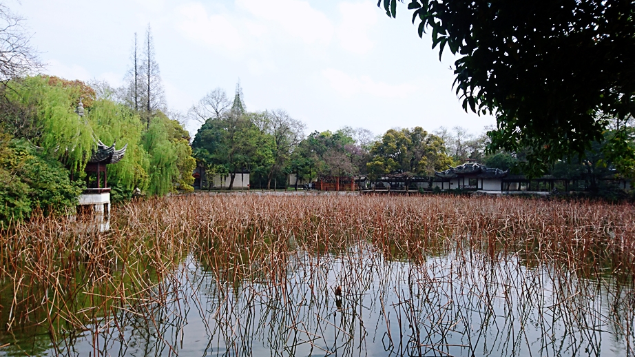 南潯古鎮 江南古鎮 湖州 景點 江南名鎮 旅遊