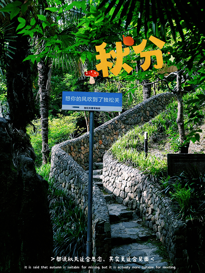 湖州 美食 湖州美食