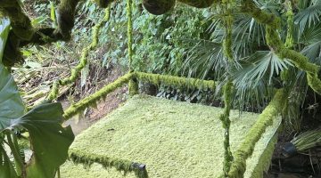 湖州 美食 湖州美食