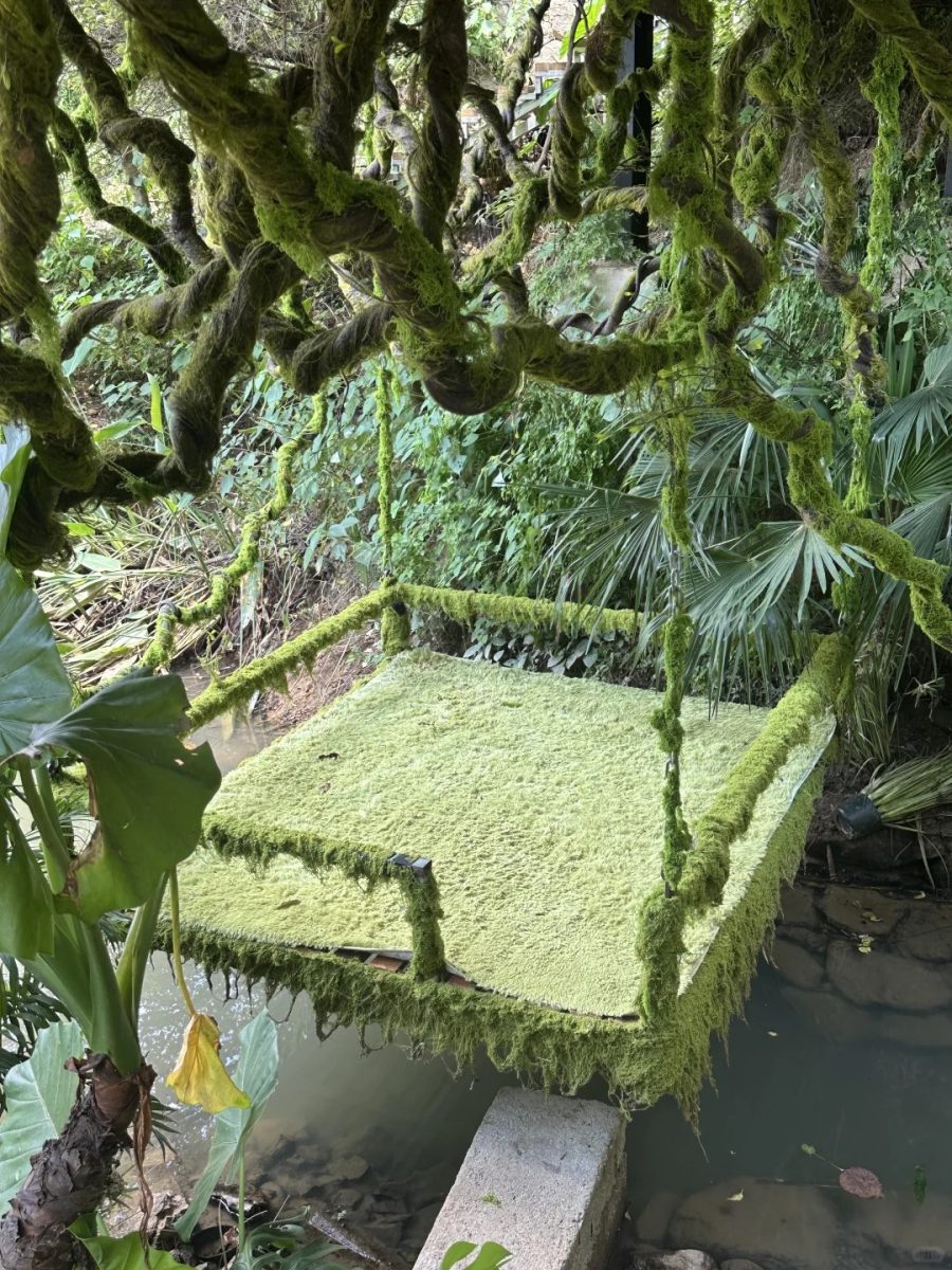 湖州 美食 湖州美食