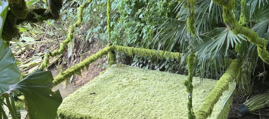 湖州 美食 湖州美食