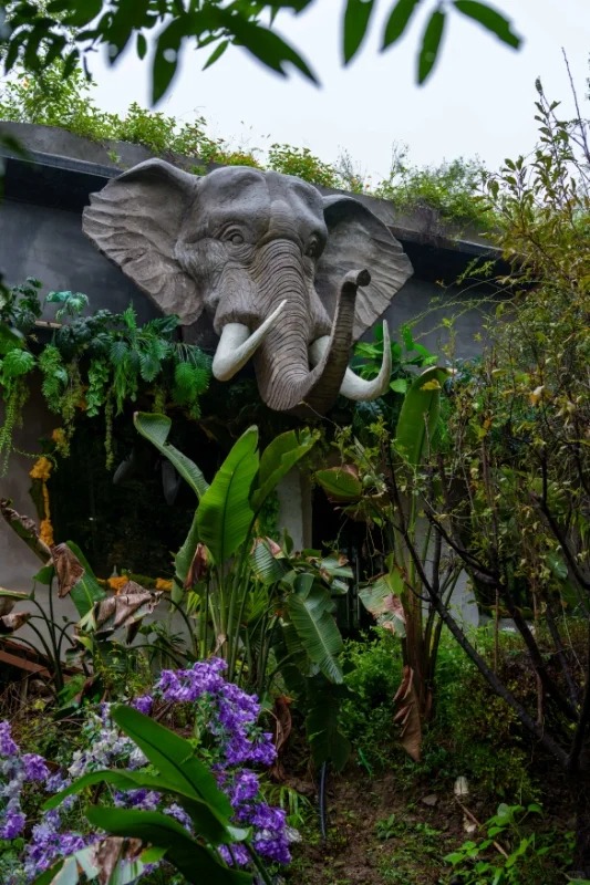 湖州 美食 湖州美食