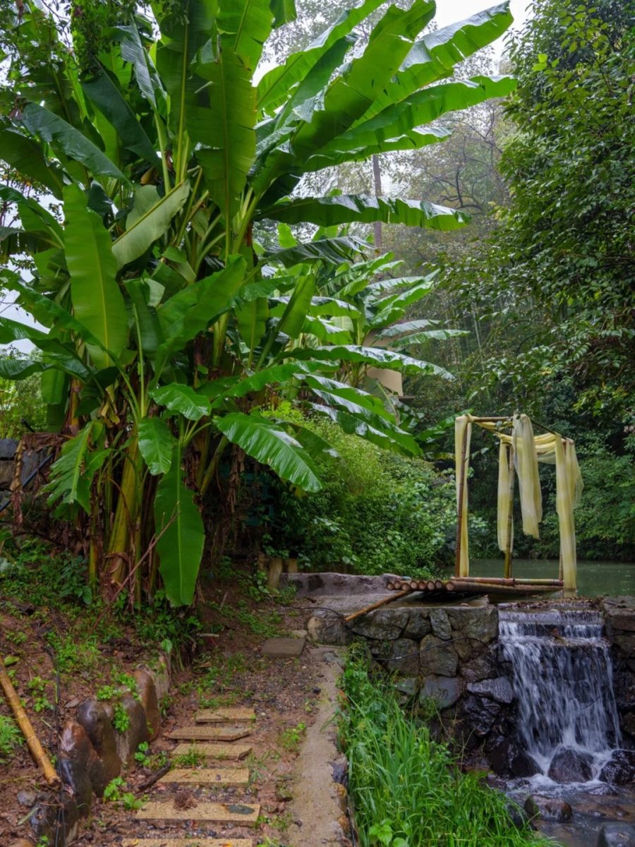 湖州 美食 湖州美食