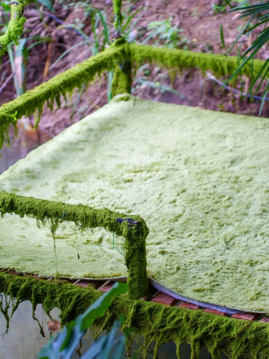 湖州 美食 湖州美食