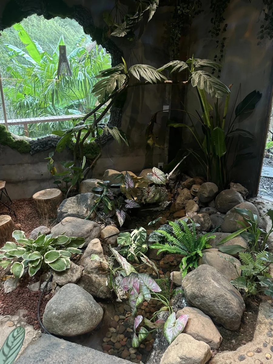 湖州 美食 湖州美食