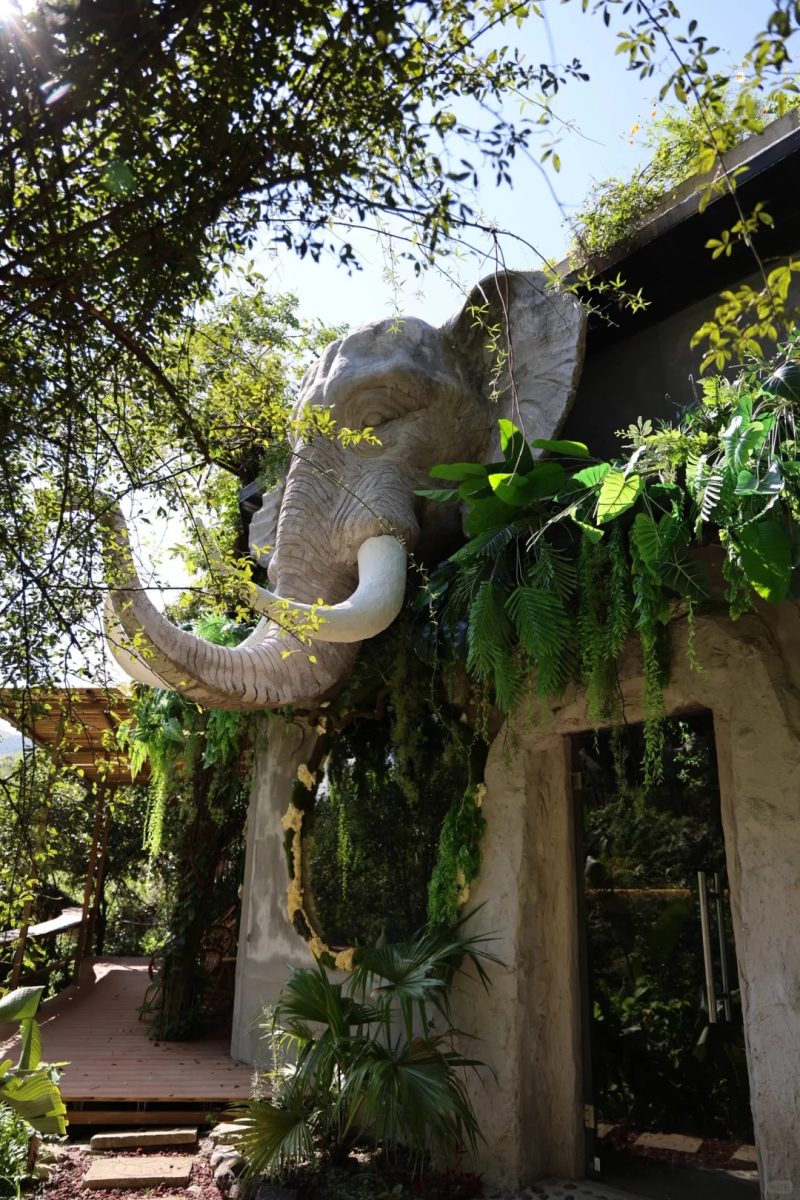 湖州 美食 湖州美食