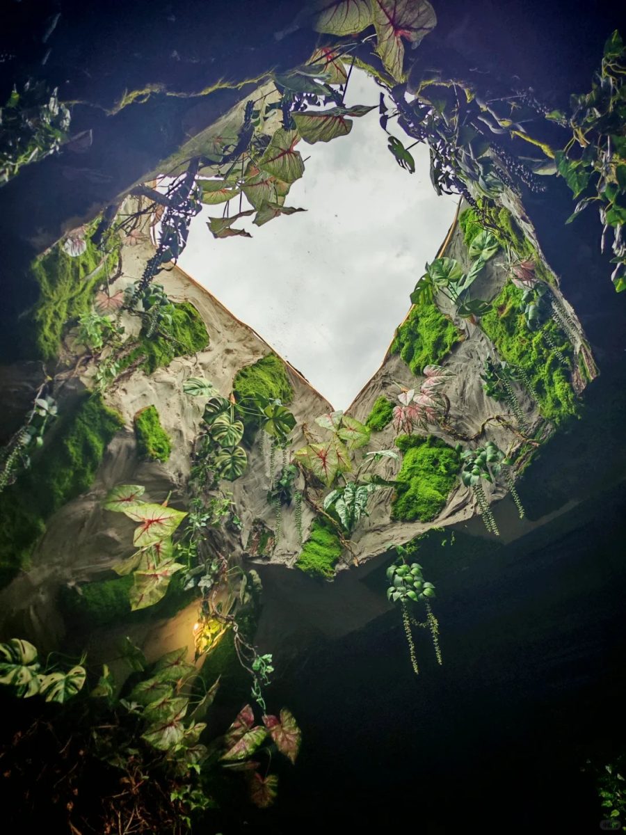 湖州 美食 湖州美食