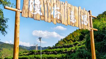 湖州 旅遊 湖州旅遊