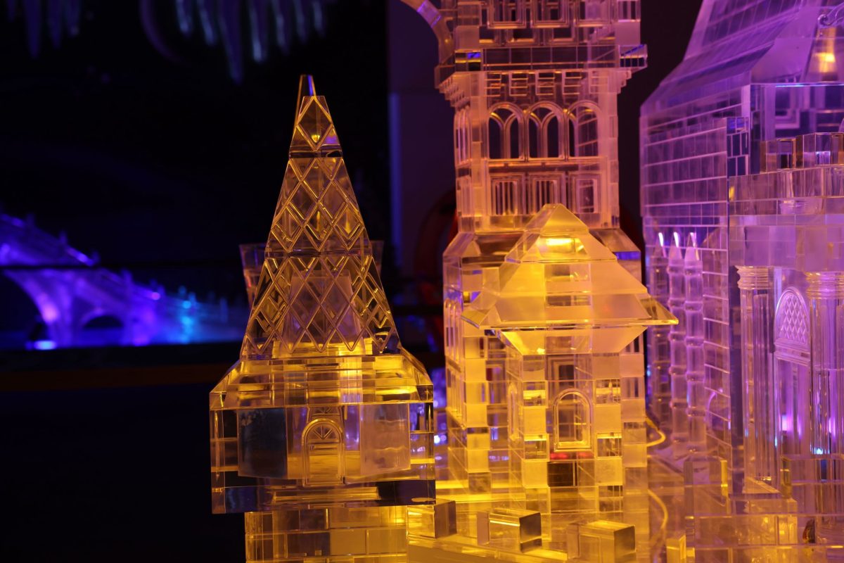 上海 旅遊 滑雪